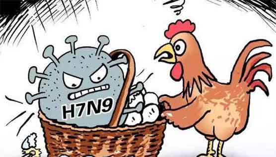 H5N1 Bird Flu Confirmed in Devon, UK: 80th Outbreak Since 2024